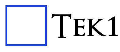 Tek1 Logo